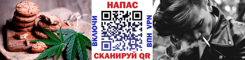 Canna-Cookies конопля  сколько стоит  Шилка 