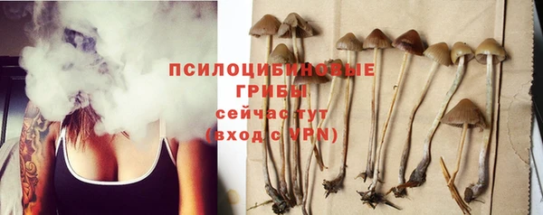 прущий лед Белоозёрский