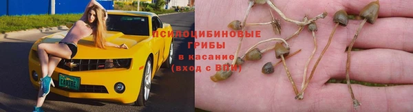 герыч Богородск