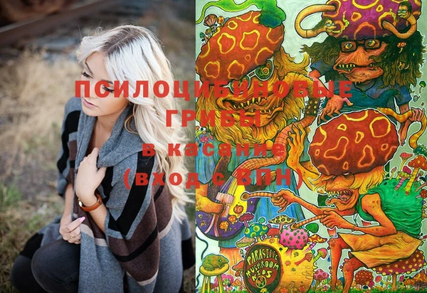 гашиш Богданович