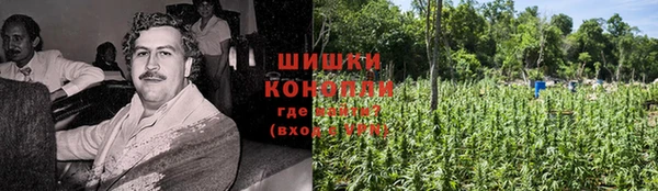 метадон Белокуриха