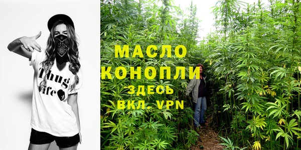 гашиш Богданович