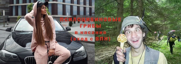 герыч Богородск