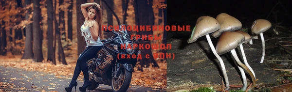 прущий лед Белоозёрский