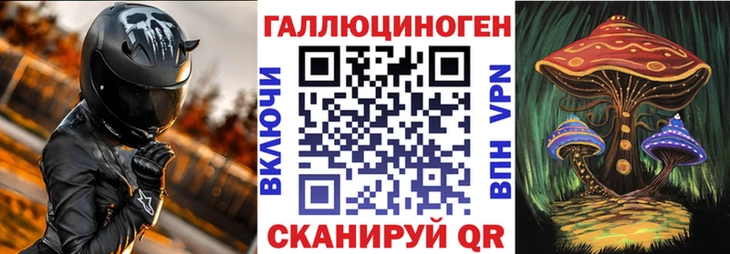 купить наркотики сайты  Шилка  Галлюциногенные грибы Psilocybe 